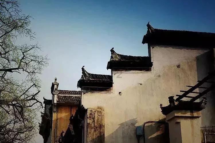 逃出绿色公寓